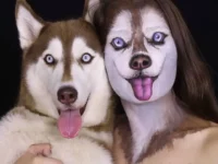 DIY makeup poslikava obraza kužek pes huski.jpg