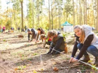 Koledar trajnostnih dogodkov nika beger beautyfull blog sajenje dreves