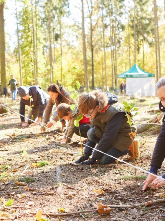 Koledar trajnostnih dogodkov, praznikov in pomembnih dni