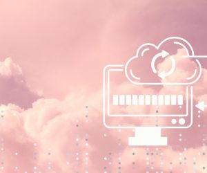 digitalno čiščenje odpadkov ekologi brez meja nika veger očistimo slovenijo digitalnih