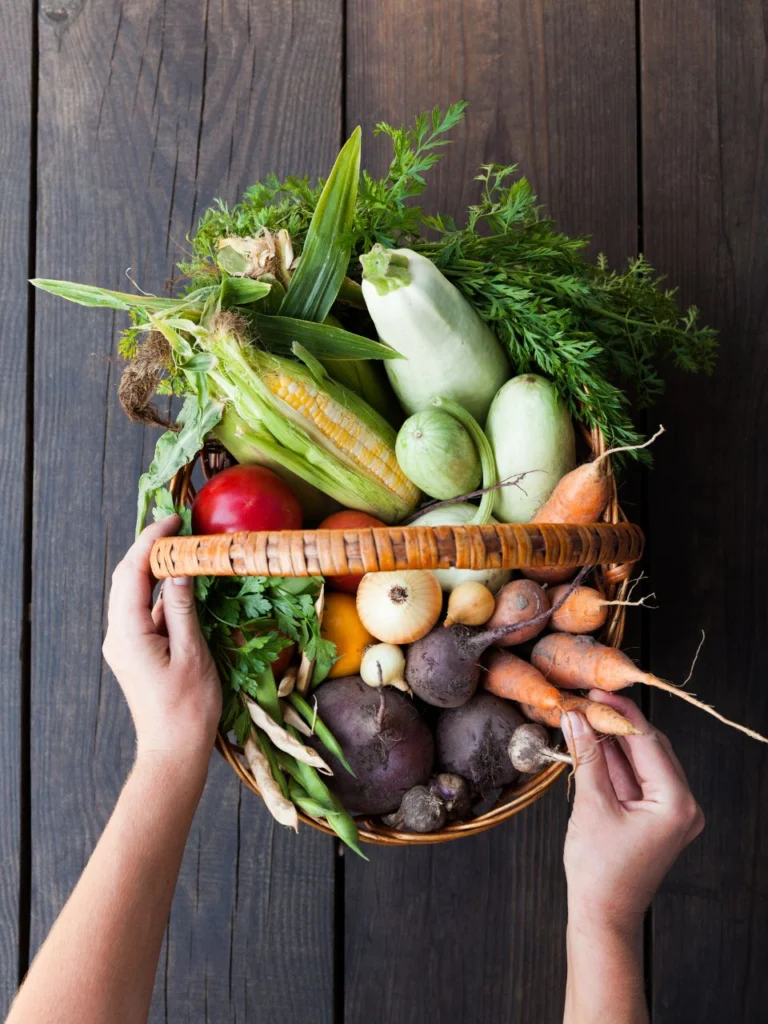 Eko hrana nika veger beautyfull blog stories 3