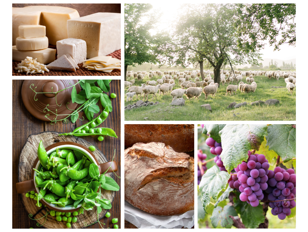 Ekološka hrana kmetijstvo nika veger beautyfull blog