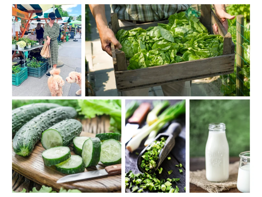 Ekološka hrana sadje zelenjava kmetijstvo nika veger beautyfull blog 3