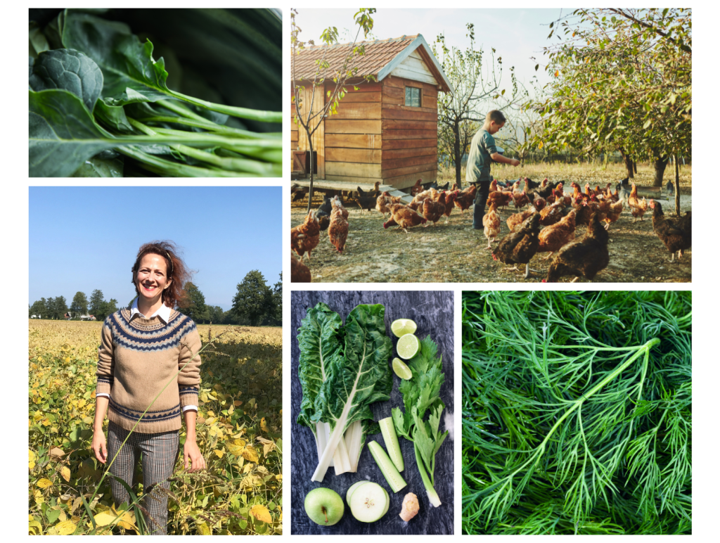 Ekološka hrana sadje zelenjava kmetijstvo nika veger beautyfull blog 4