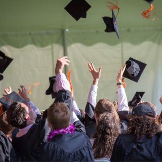 Granatno jabolko: Eleganca in simbolika v praznični okrasitvi