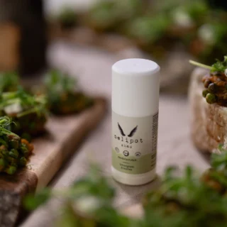 Ocena: čistili za dvojno čiščenje Erborian Centella