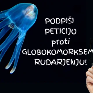 To je učinkovita korejska krema za kožo okoli oči