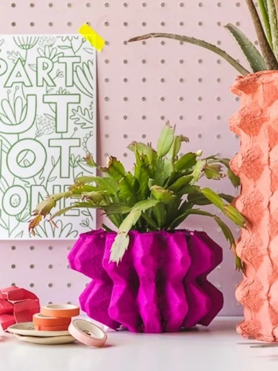 27 idej za recikliranje embalaže za jajca