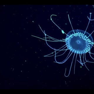 To so moji najljubši Caudalie izdelki – predlog za tvoj prvi nakup pri tej trajnostni luksuzni znamki