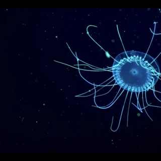 To so moji najljubši Caudalie izdelki – predlog za tvoj prvi nakup pri tej trajnostni luksuzni znamki