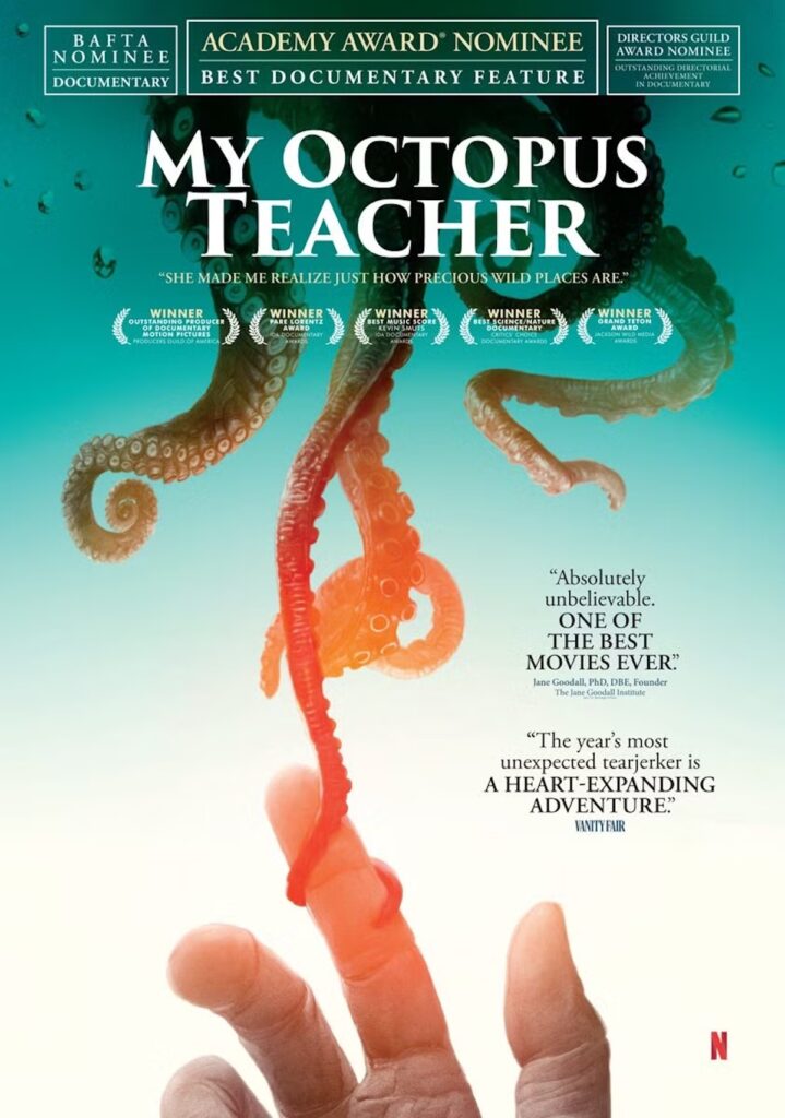 Plakat dokumentarca "My Octopus Teacher", ki prikazuje čarobno zgodbo o prijateljstvu med človekom in hobotnico v južnoafriških vodah.