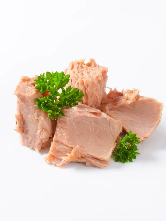 Intervju z WWF: Trajnostni ribolov in zakaj ni več vseeno, katero konzervo tunine izbiraš