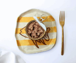 rio mare wwf tunina trajnostna eko hrana tuna ribolov nika veger beautyfull blog