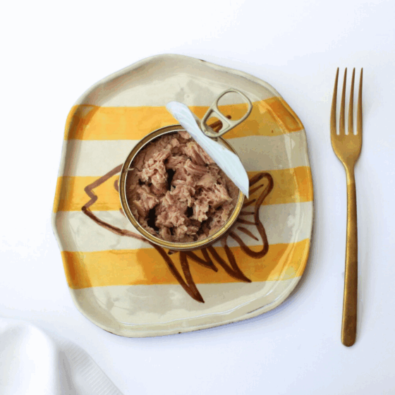 Ali je tvoja tunina vredna nakupa? Preveri, preden jo kupiš!