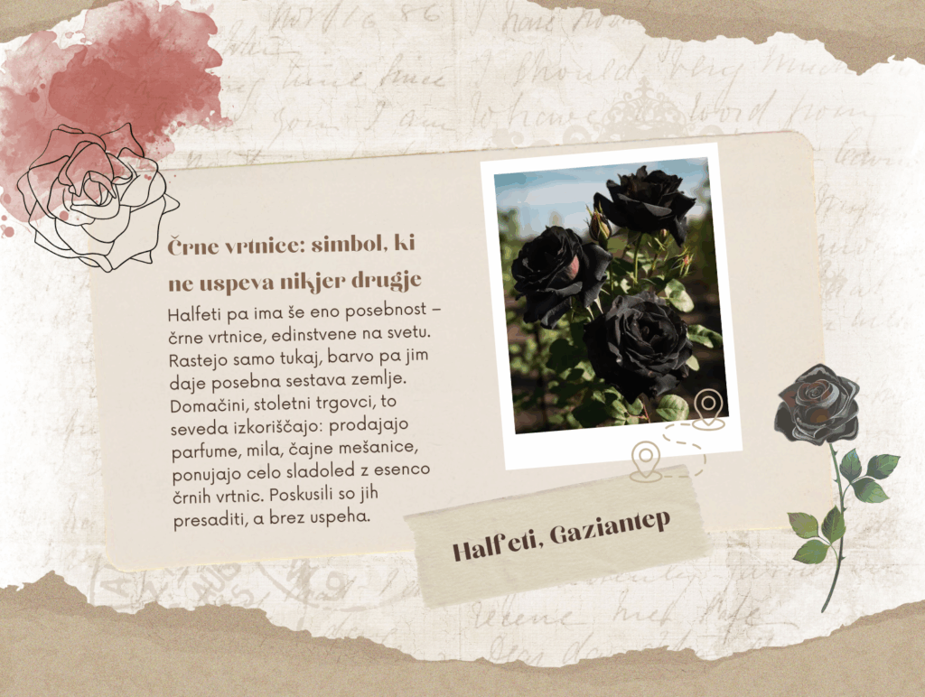 vzhodna turcija mezopotamija popotniski blog itinerari rebeka rania balbey beautyfull blog črne vrtnice
