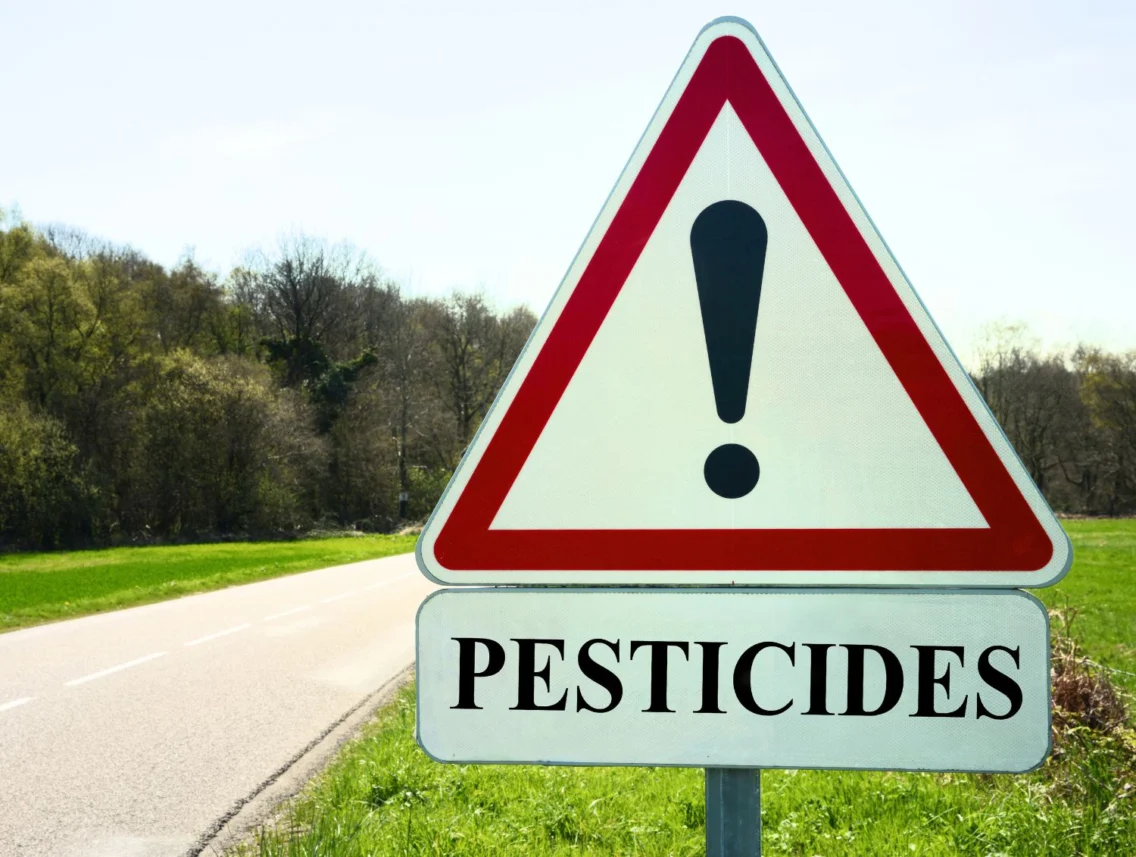 Pesticidi v ekološki hrani: Je res tudi EKO »špricano«?