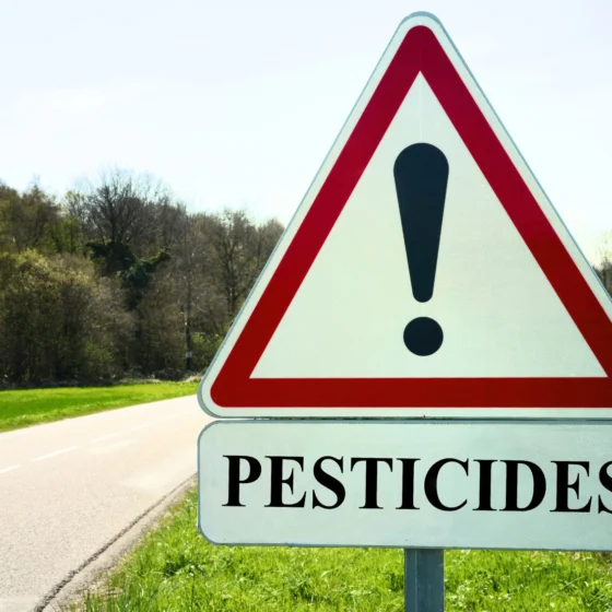 Pesticidi v ekološki hrani: Je res tudi EKO »špricano«?
