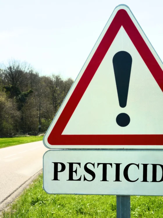 Pesticidi v ekološki hrani: Je res tudi EKO »špricano«?